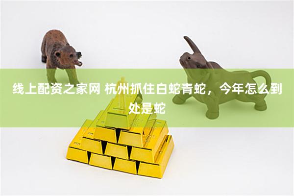 线上配资之家网 杭州抓住白蛇青蛇，今年怎么到处是蛇