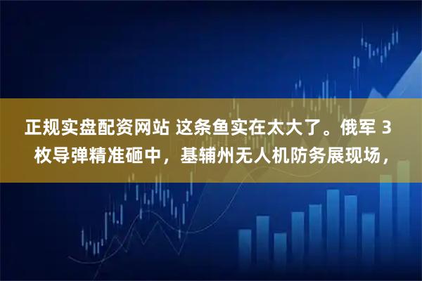 正规实盘配资网站 这条鱼实在太大了。俄军 3 枚导弹精准砸中，基辅州无人机防务展现场，